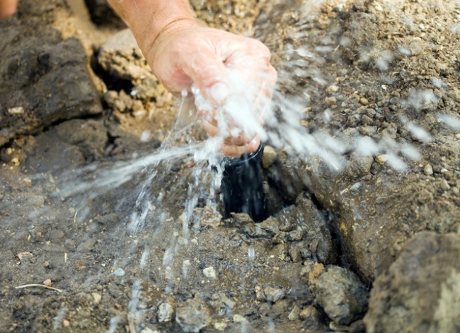 A sprinkler head spurts water. 