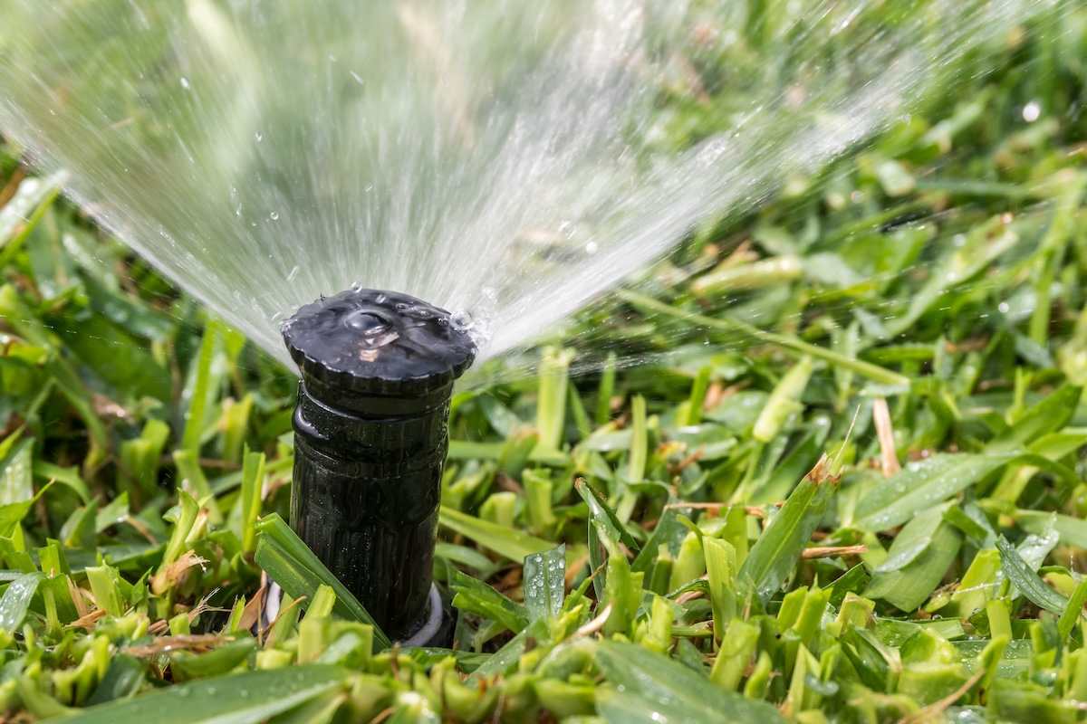 A close-up image of a sprinkler irrigating a lawn.