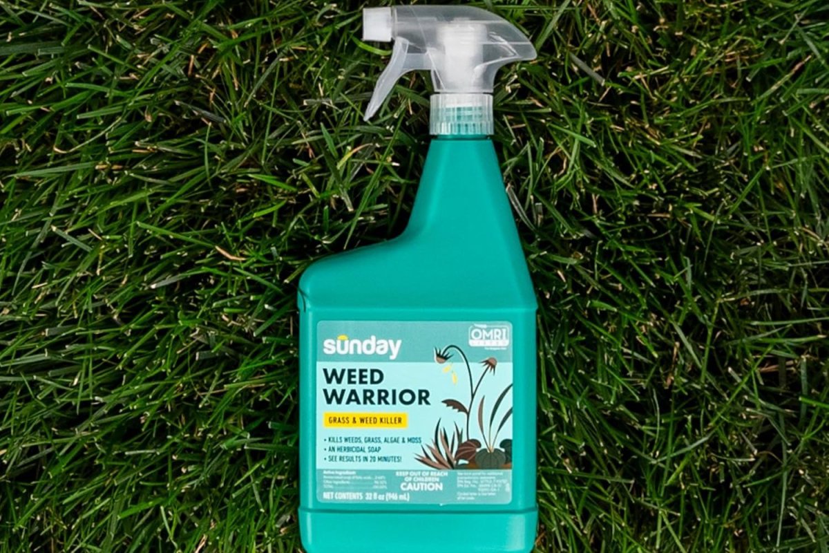 Best Crabgrass Killers for Getting Rid of Stubborn Lawn Weeds
