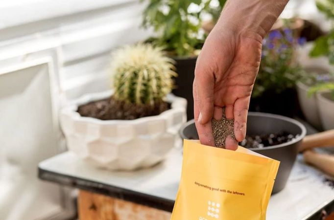 10 Cool Products from Gardener’s Supply Company to Buy for Your Favorite Green Thumb