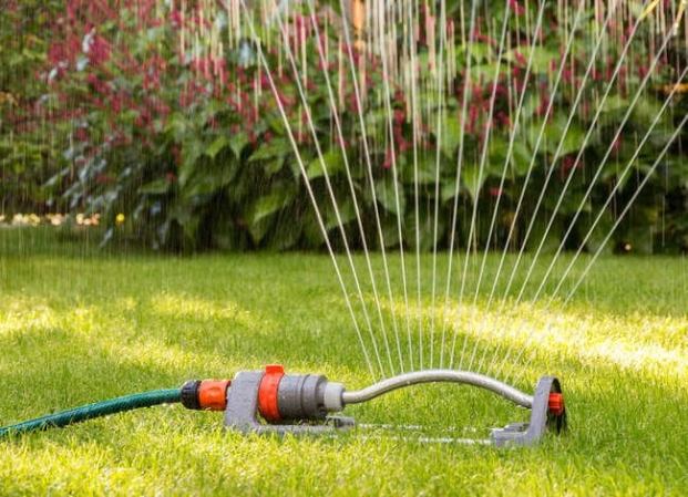 The Best Things You Can Do for Your Yard This Fall