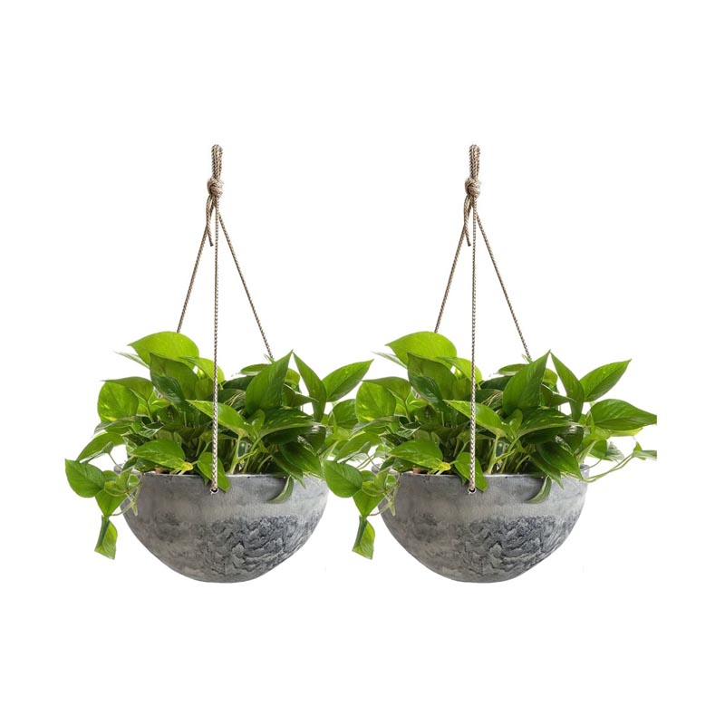 4.5 Inch Flower Pot Holder Ring Wall Mounted,set Of 3 Wall Planter