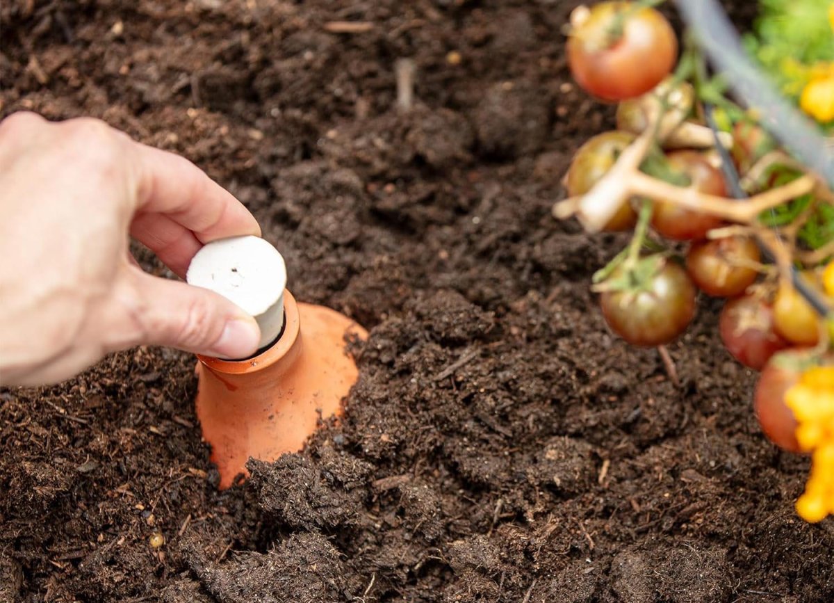 The Best Automatic Plant Waterer Option