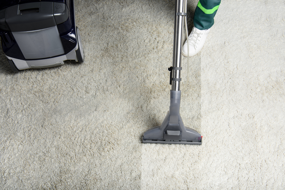 The Best Carpet Cleaners Option