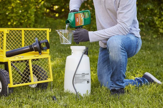 The Best Crabgrass Killers for DIY Lawn Care