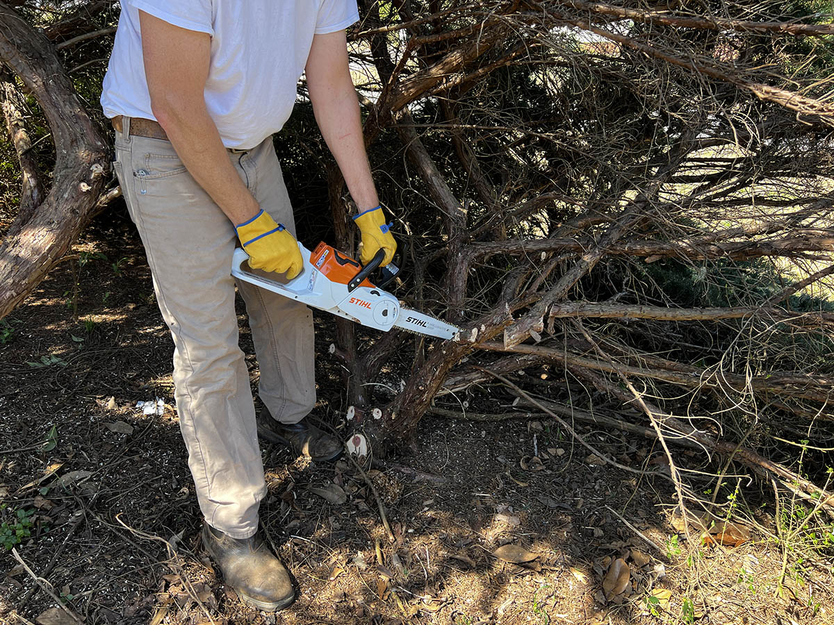 The Best Electric Chainsaw Stihl battery chainsaw action