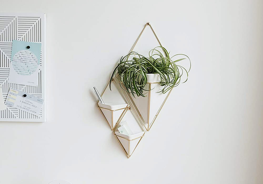 The Best Hanging Planter Options