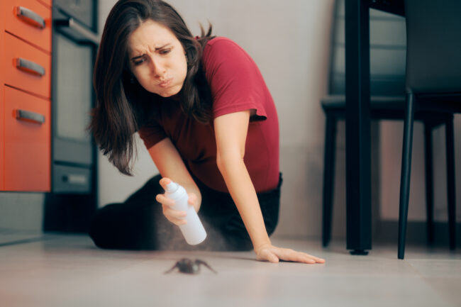 Woman Spraying with Insecticide Over a spider on the Kitchen Floor