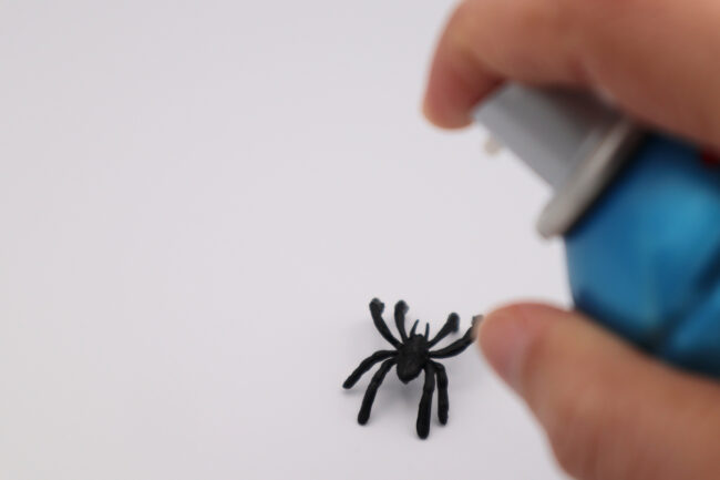 A person using a spider killer spray on a spider