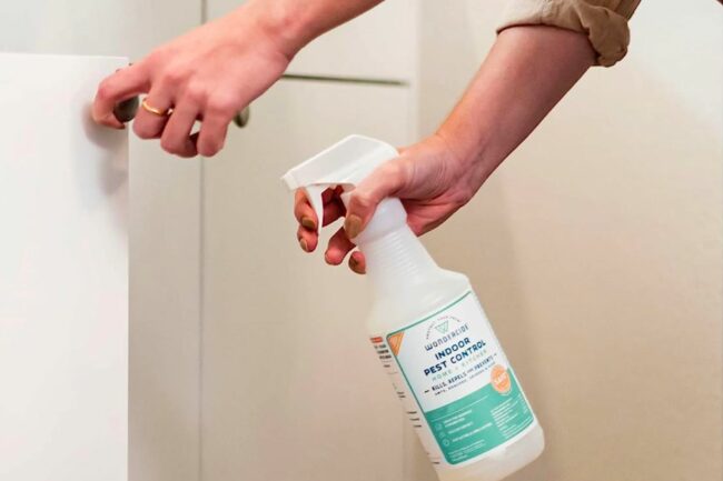 A person using a spray bottle of the best spider killer option near a cupboard