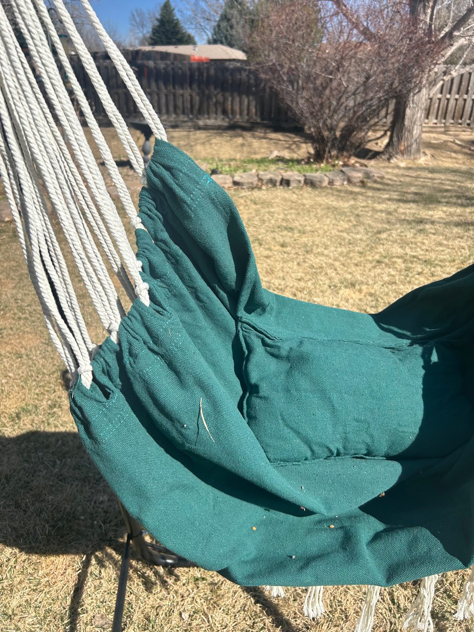 Torevsior hammock chair cushion