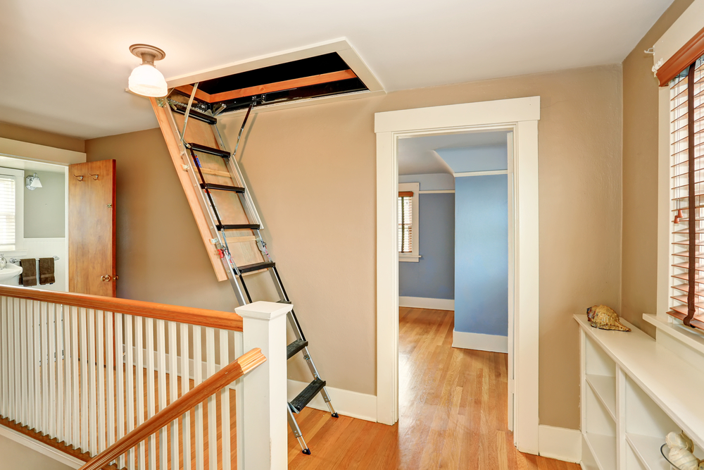 The best attic ladder extends from an open attic door in an hallway