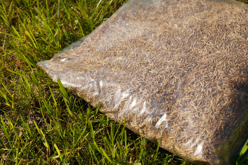 Seal plastic bag of grass seed in a grass lawn.