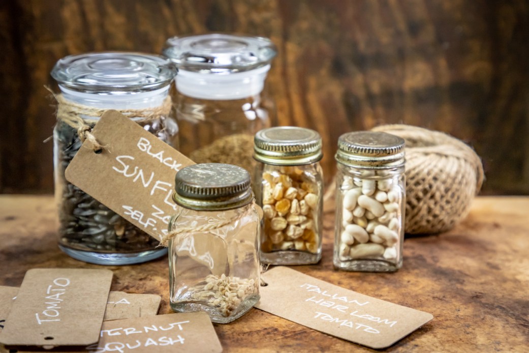 Do Seeds Expire How Long Seeds Last Solved Bob Vila Do seeds expire how long seeds last solved bob vila