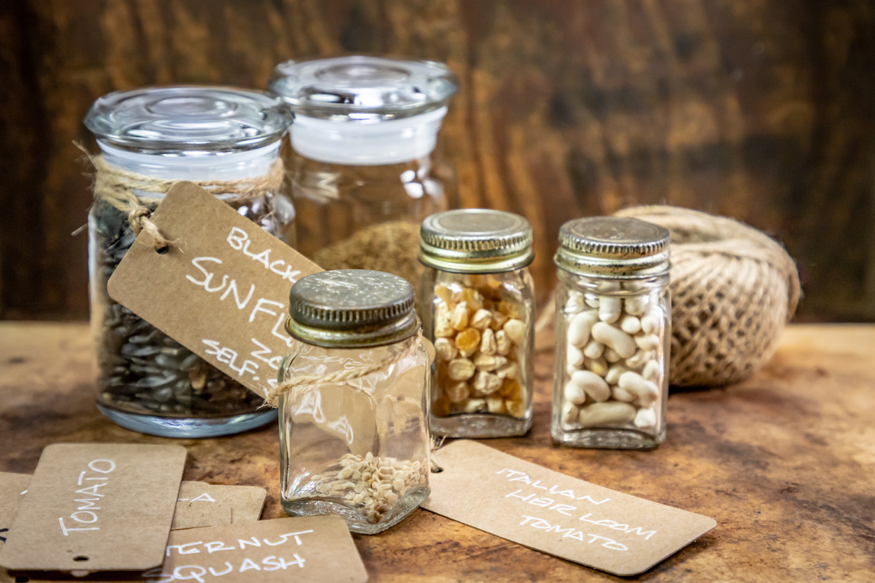 Do Seeds Expire: Seed Storage