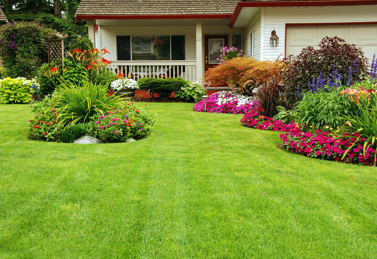 How To: Overseed a Lawn For a Lush, Green Yard
