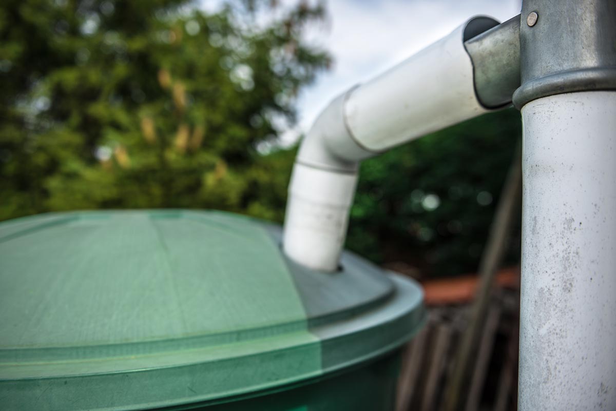 Is it Illegal to Collect Rainwater: Checking the State's Regulations