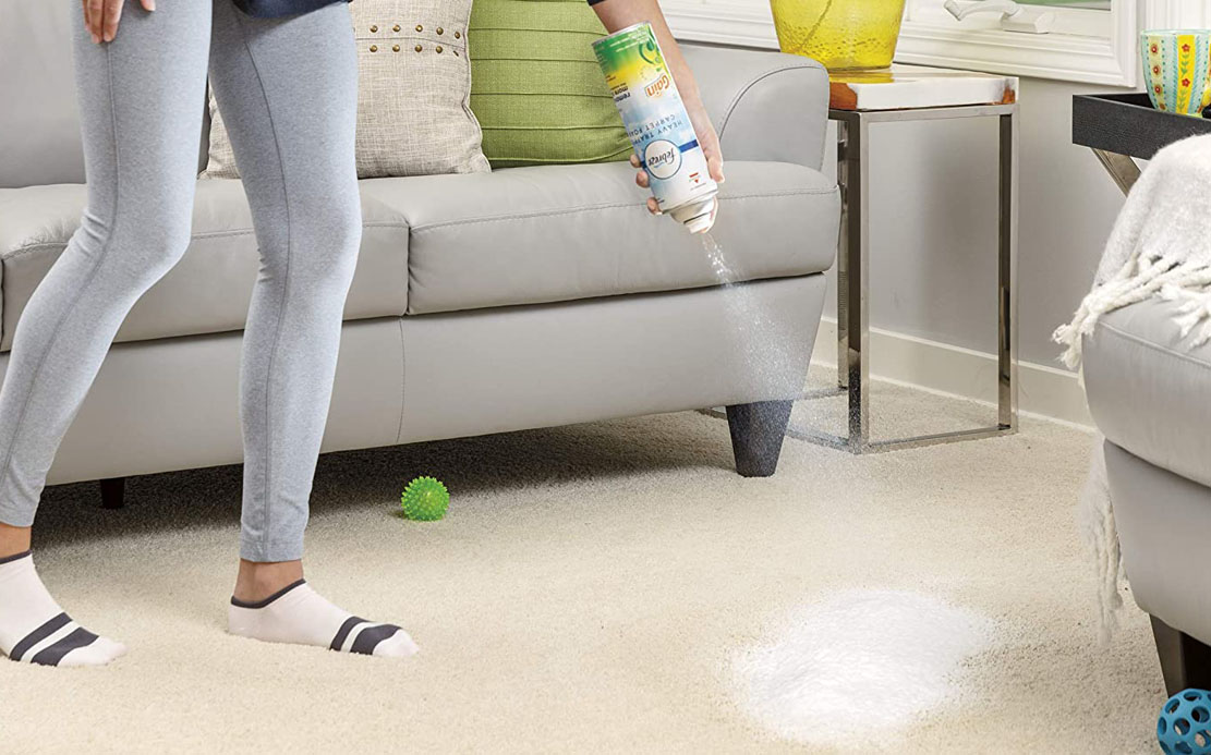 The Best Carpet Deodorizer Options