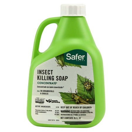  Bottle of Safer Brand 5118-6 Insect Killing Soap Concentrate on a white background