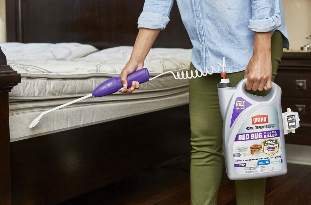 The Best Bed Bug Spray Option