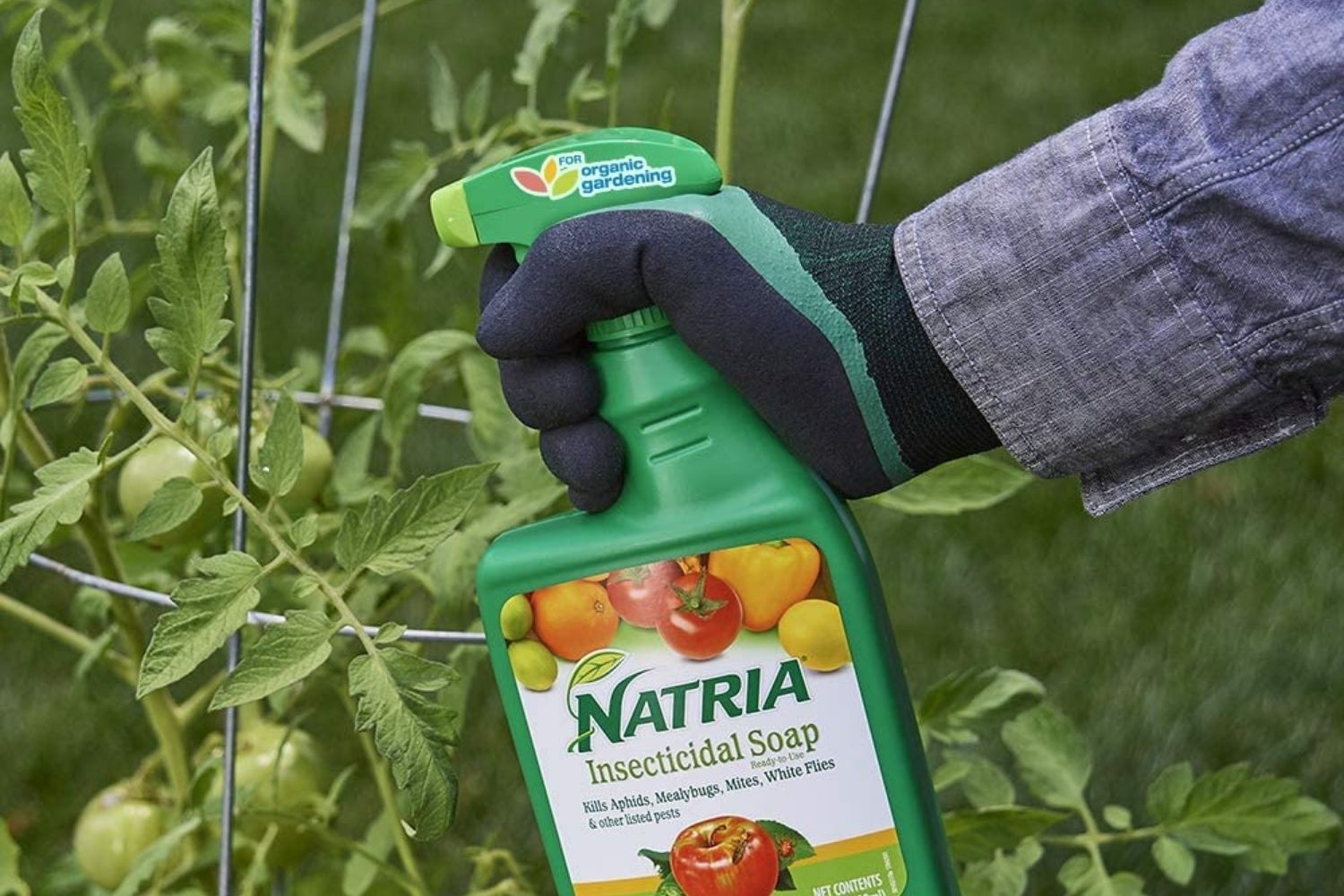 The Best Insecticide for Vegetable Garden Option