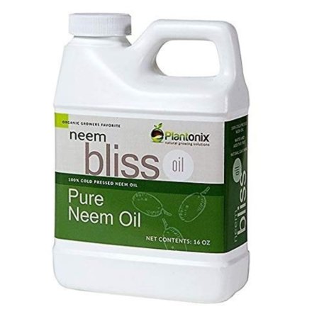  Bottle of Neem Bliss Organic 100% Cold Pressed Neem Seed Oil on a white background