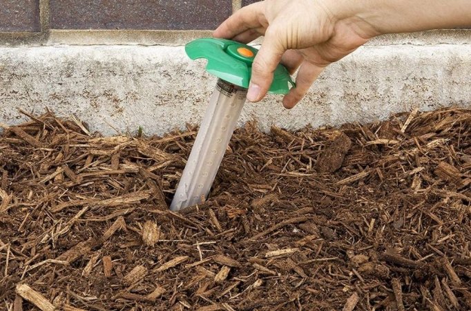 The Best Termite Treatment Options