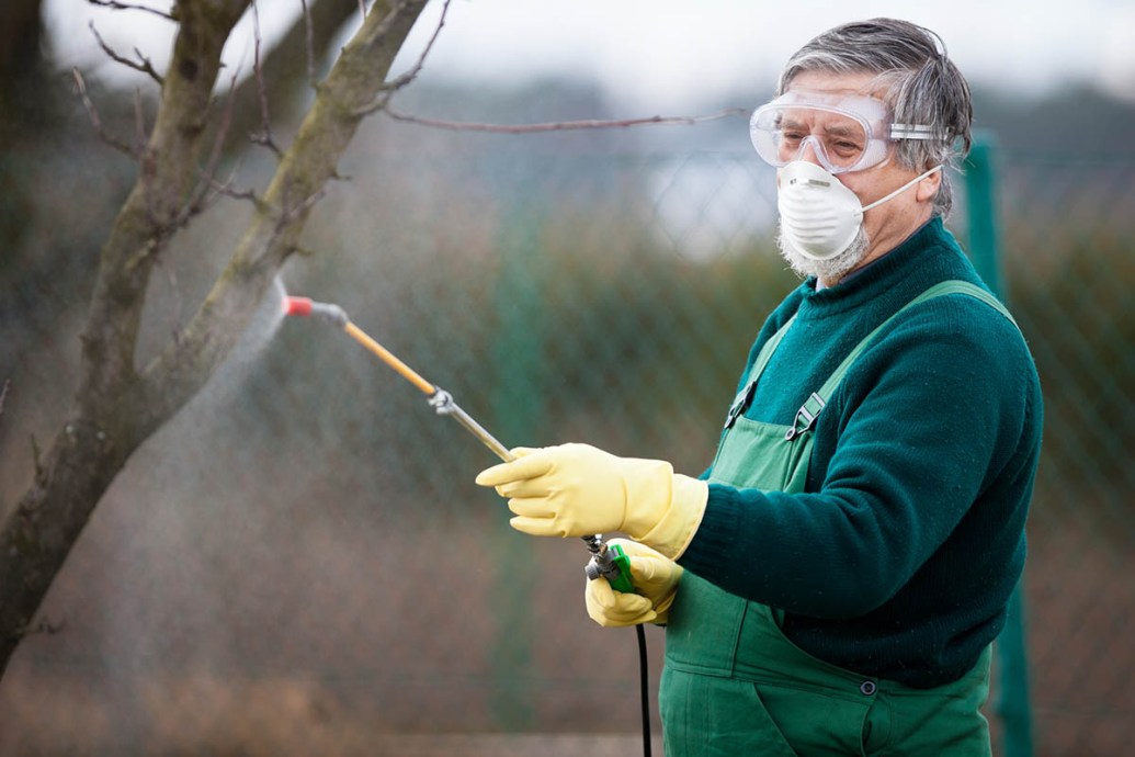 Sprayed Tree When Is the Best Time of Year to Spray Fruit Trees? - Bob Vila