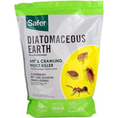 The Best Termite Treatment Option: Safer Brand Diatomaceous Earth Insect Killer