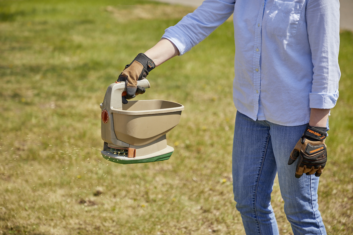 How to Overseed a Lawn StepbyStep Instructions Bob Vila