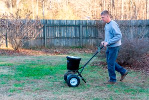 Best Fertilizer Spreader