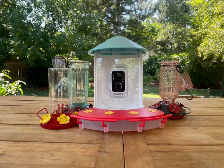 8 Hummingbird Feeders That Attract Birds