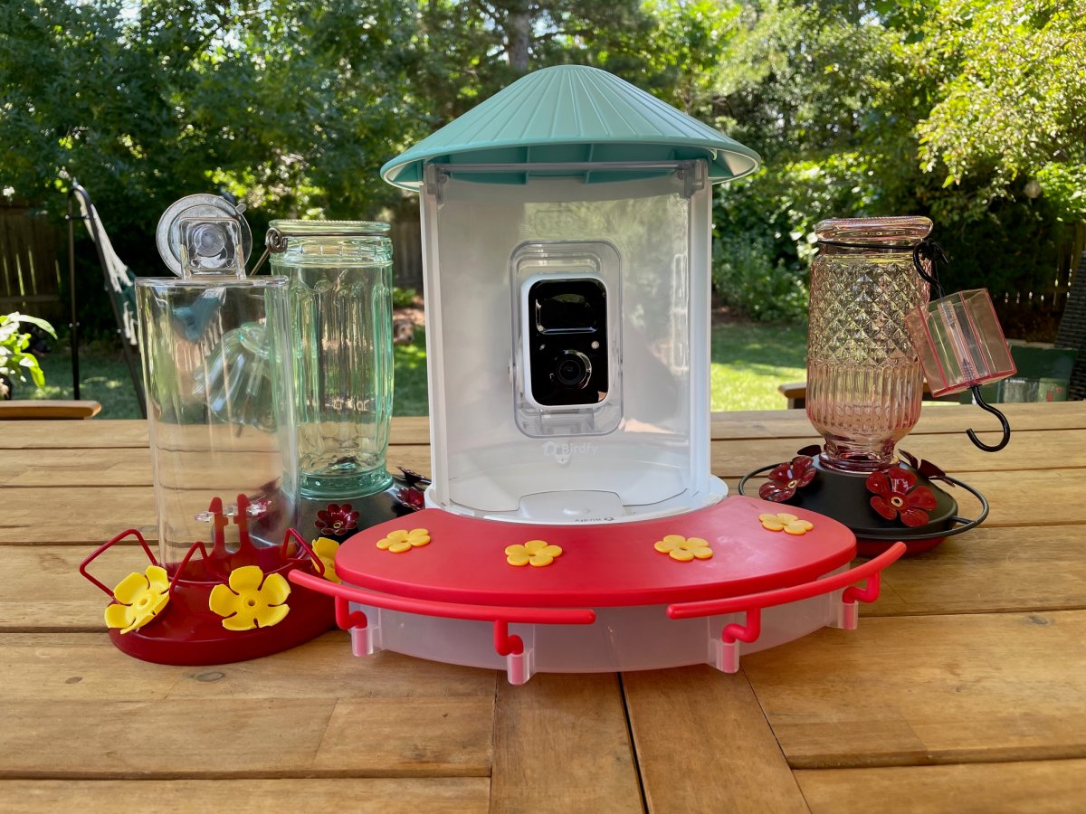 8 Hummingbird Feeders That Attract Birds layout