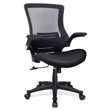 Funria Ergonomic Office Chair