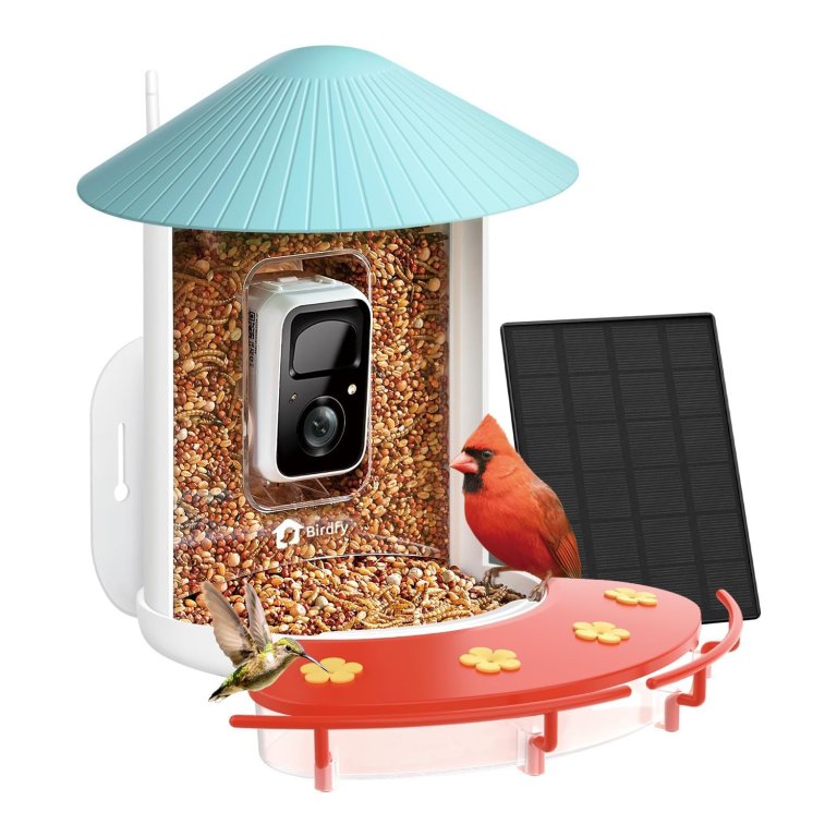 Birdfy Hummee Solar-Powered Smart Bird Feeder Camera