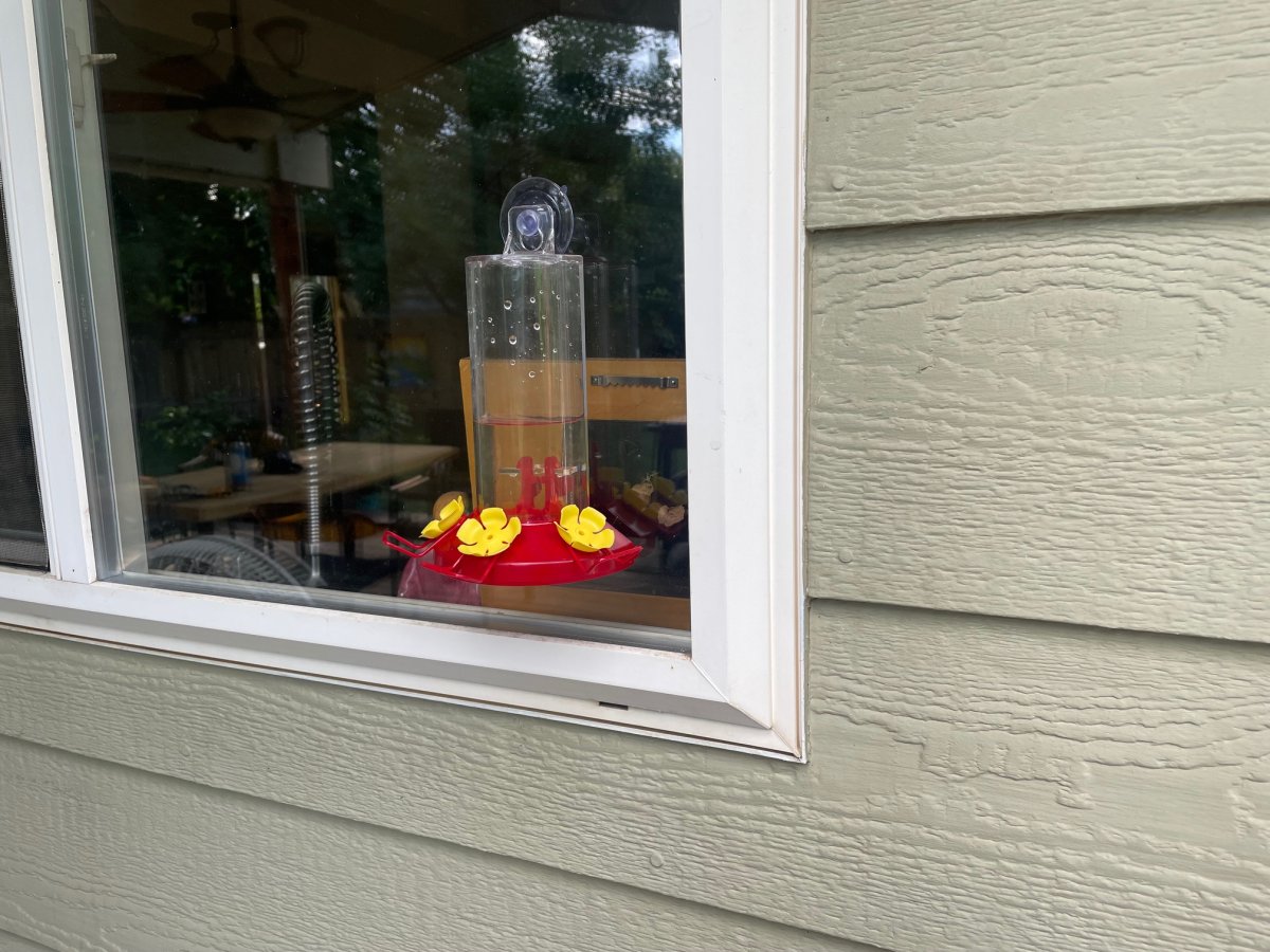 Perky-Pet window hummingbird feeder on a window