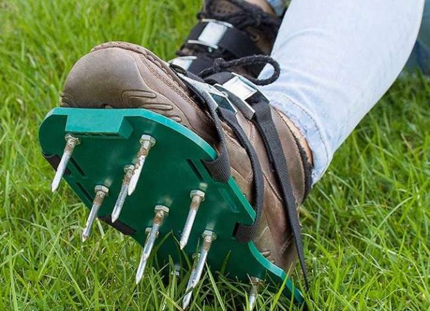 13 Low-Cost Solutions for an Ugly Lawn