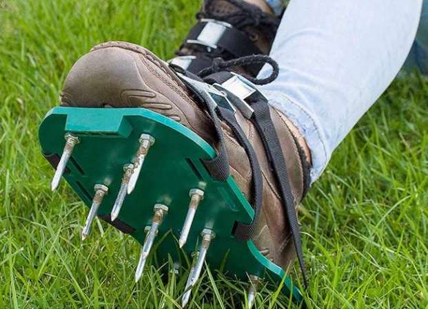 No More Mowing: 10 Grass-Free Alternatives to a Traditional Lawn