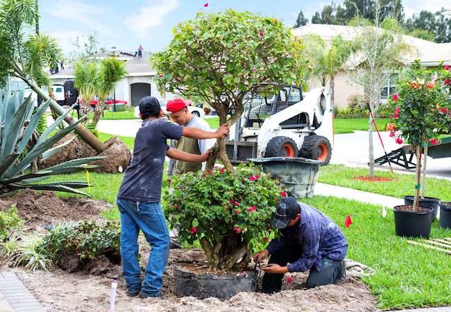 14 Landscaping Features That Can Hurt Your Home Value