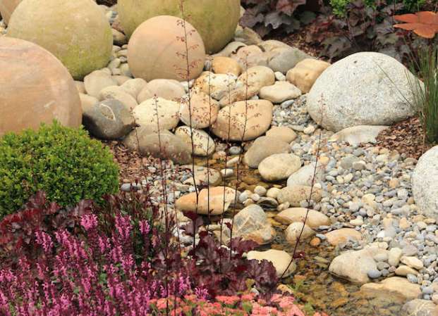 The 15 Best Plants for Rock Gardens