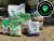 Best Grass Seed