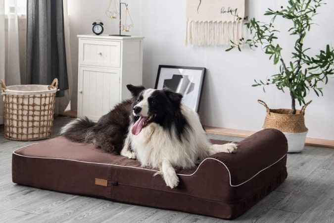 The 10 Best Dog Doormats for Messy Paws