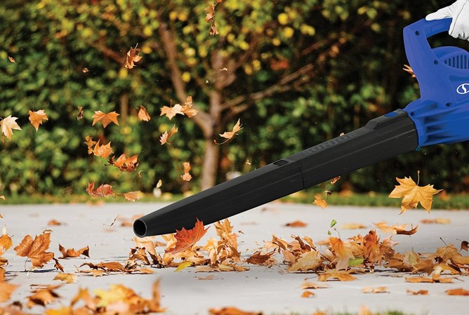 The Best Backpack Leaf Blowers in 2024, Tested