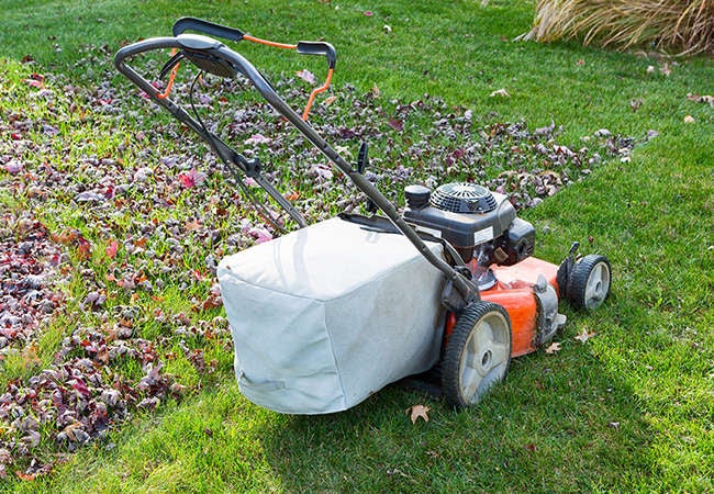 10 Ways to Make Your Fall Lawn Care Easier, According to the Pros
