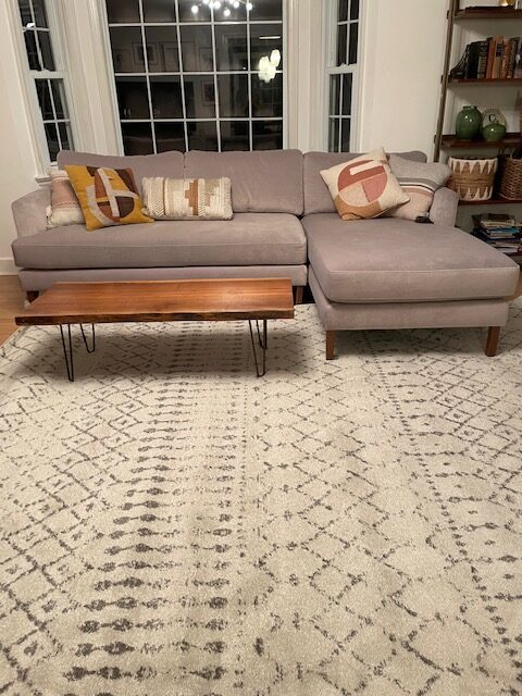 The Best Area Rugs Option