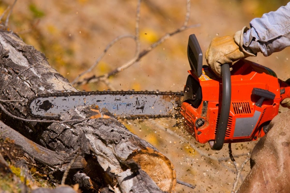 The Best Chainsaw Chain Option