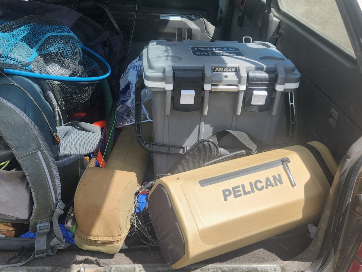 Fishing and camping gear in the back of a truck next to two Pelican coolers