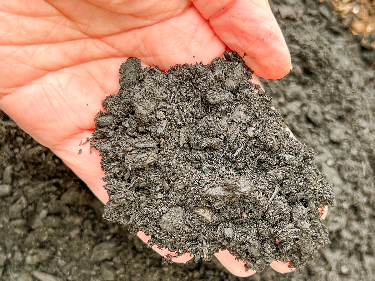 The Best Potting Soil Mix 2