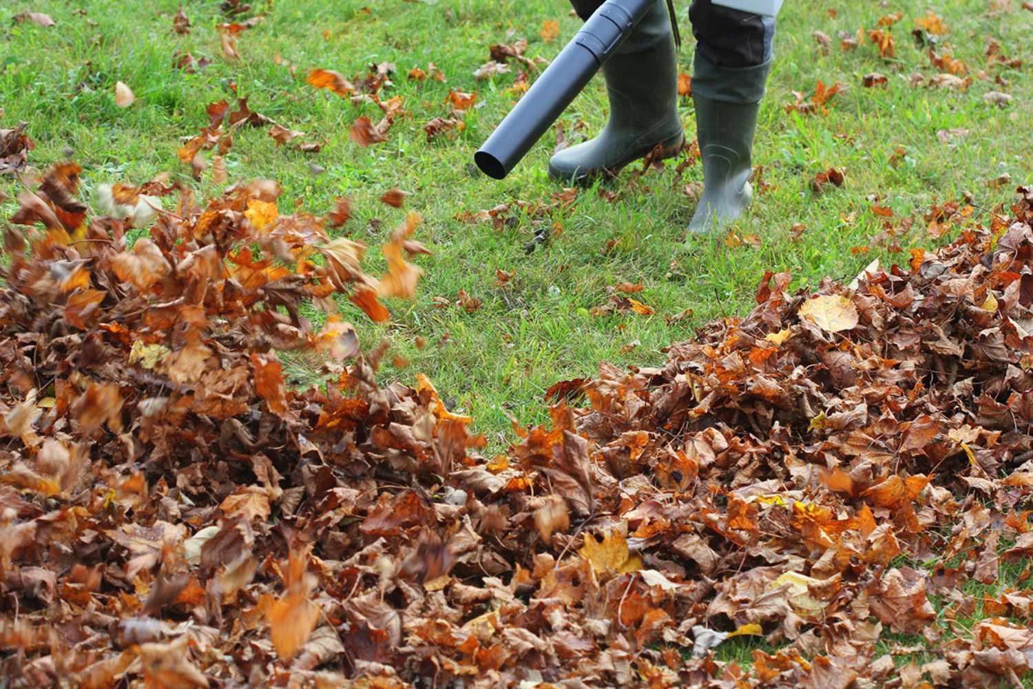 A person wearing tall boots while blowing leaves in a yard using the best battery-powered leaf blower.