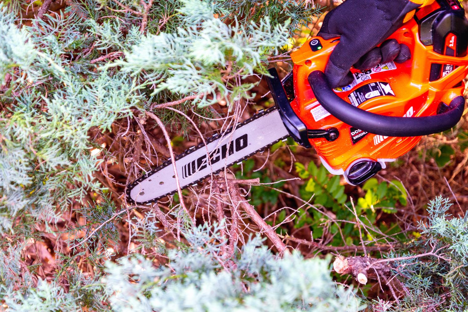 The Best Battery Chainsaws Option